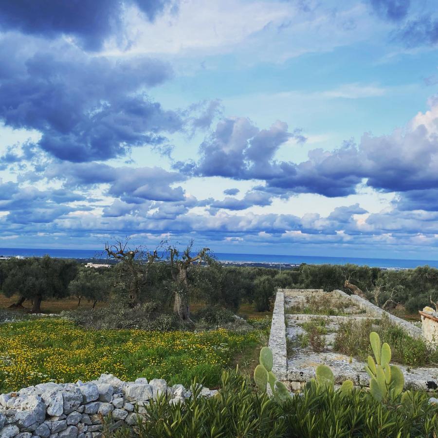 La Guendalina Masseria E Casa Particular Bed & Breakfast Monopoli Dış mekan fotoğraf