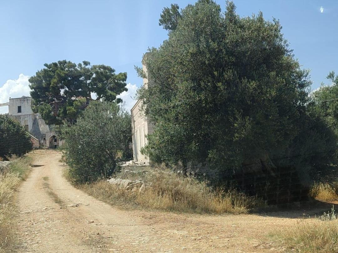 La Guendalina Masseria E Casa Particular Bed & Breakfast Monopoli Dış mekan fotoğraf